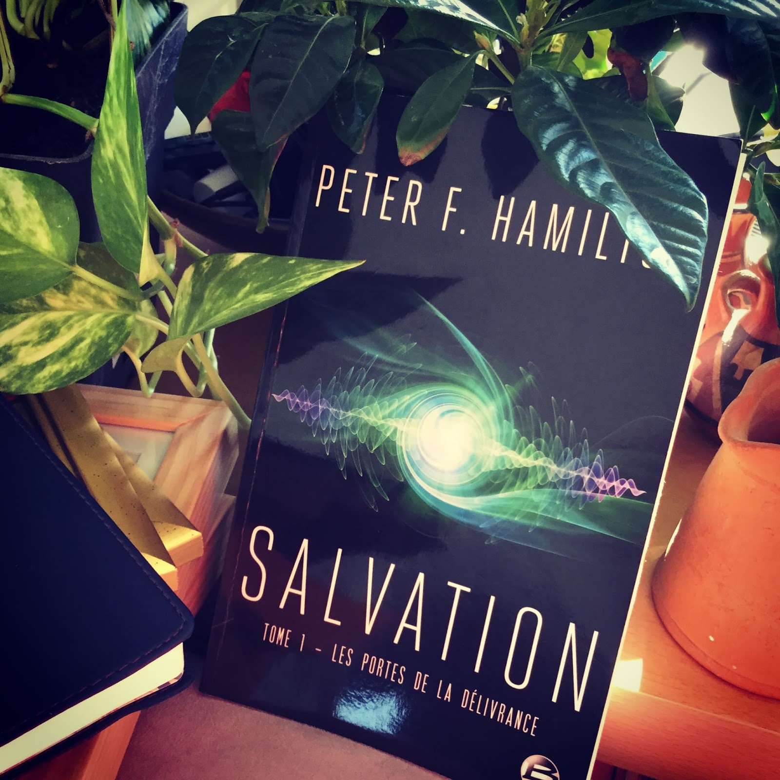 Lire la suite à propos de l’article Salvation tome 1 : Les portes de la délivrance de Peter F. Hamilton